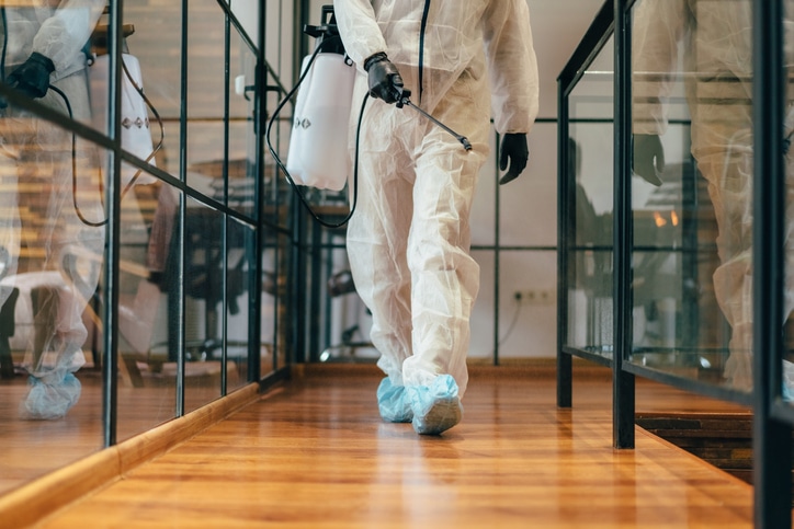 MD mold testing