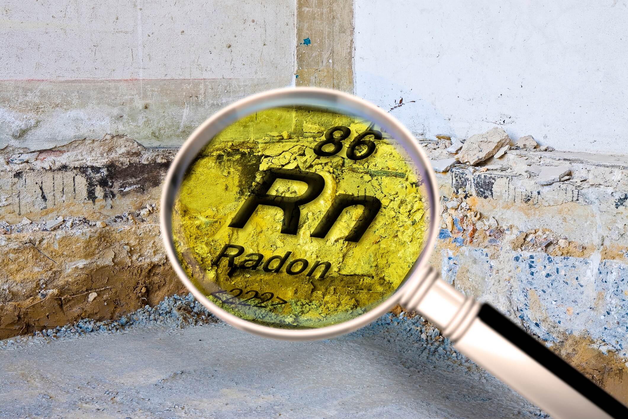 MD mold testing