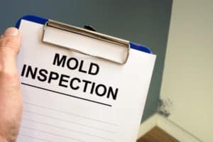 New Home Mold Inspection Services Maryland 