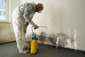 Mold Inspection Services Maryland