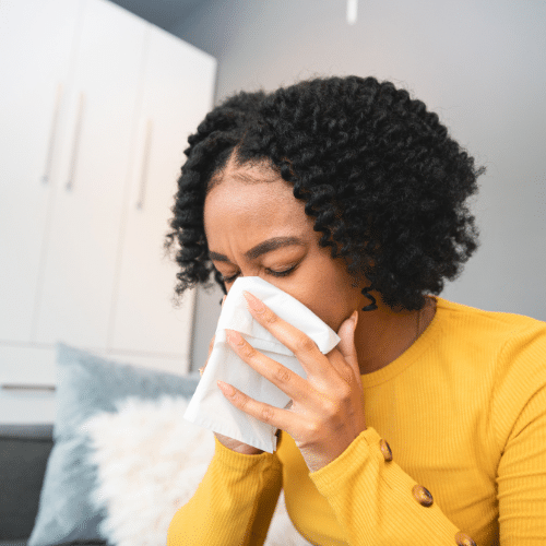 MD mold testing